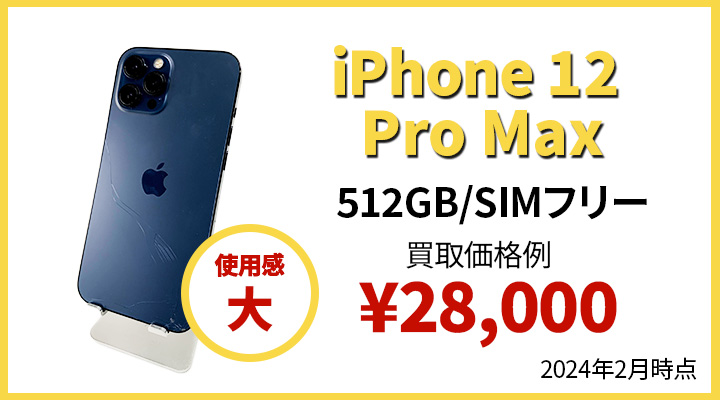 iPhone12promax